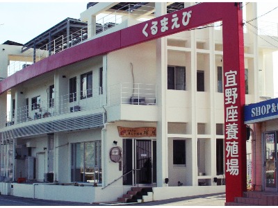 Kurumaebi Restaurant Tama-ya